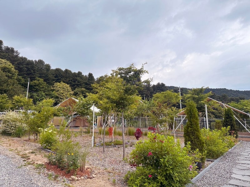 [가평 캠핑]애견동반가능한 가평 나아정캠핑장 타프+울타리...