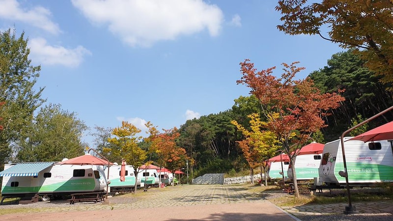 달서별빛캠프 캠핑장 시설 사진 11