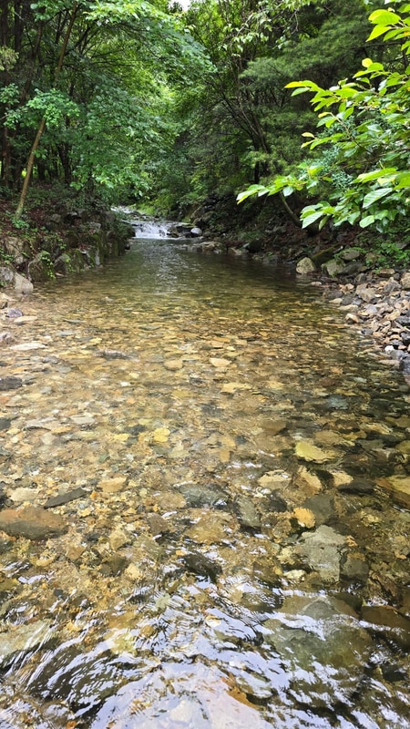 250718-20 계곡이 멋진 캠핑장 포천 아버지의숲
