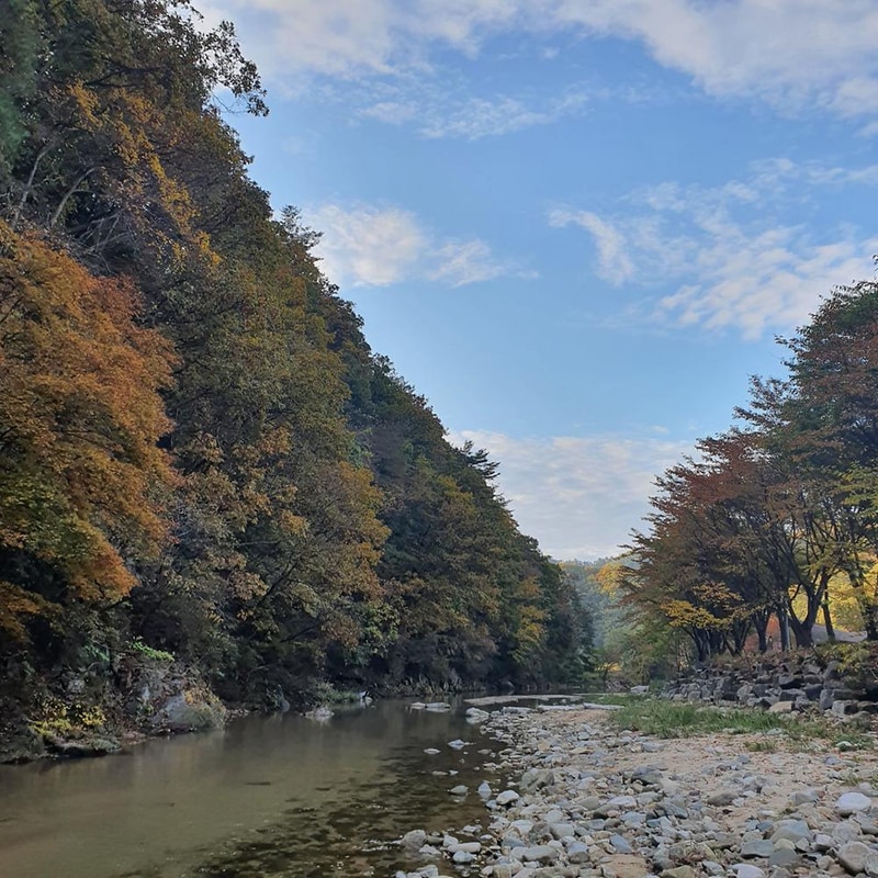 강원 홍천 알프스밸리 캠핑나라 글램독 시설 사진 2