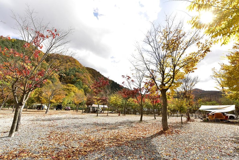 홀리데이캠핑장 시설 사진 1