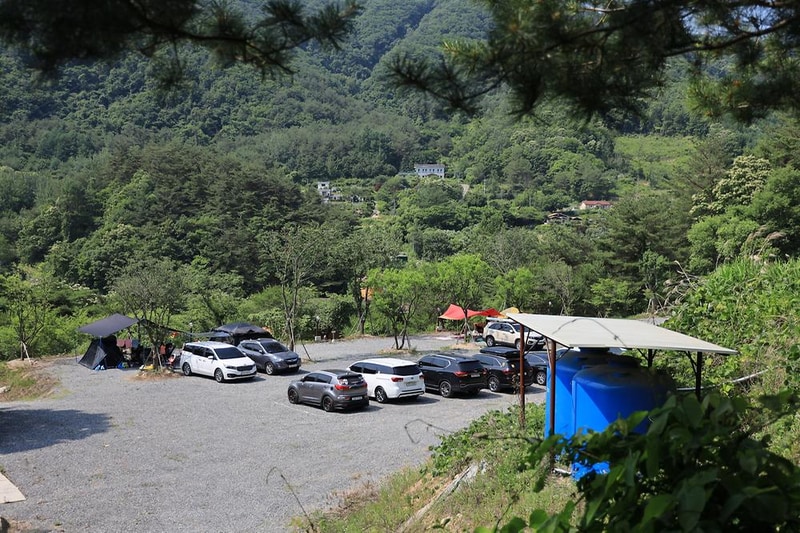 월드니스 시설 사진 2