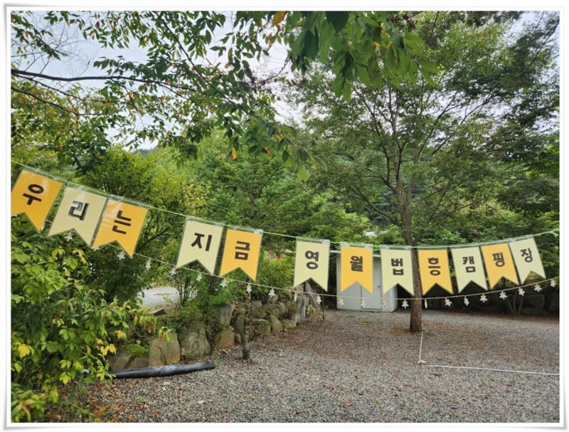 영월캠핑장인 법흥캠핑장 초록초록한 분위기 속 비오는 날...