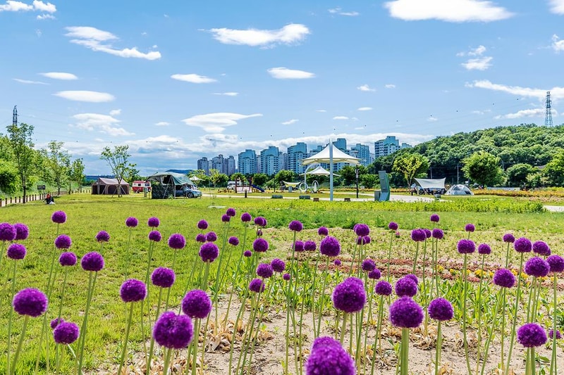 금호강 오토캠핑장 시설 사진 21