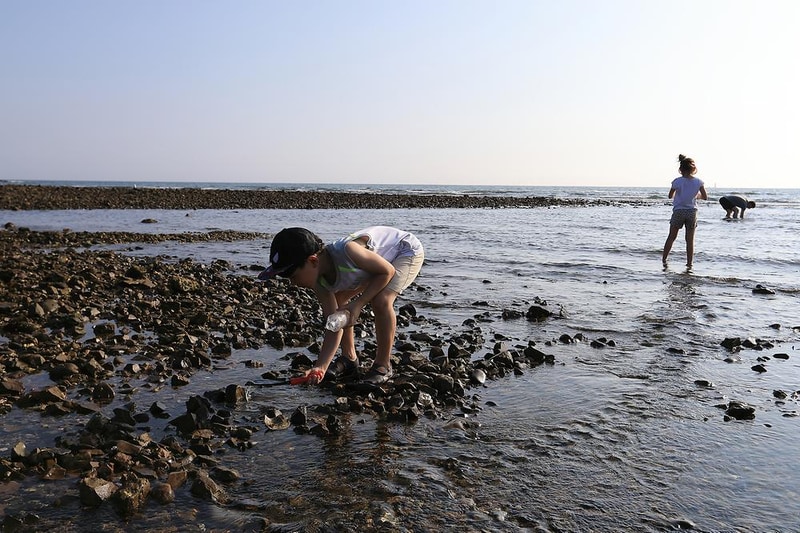 백사장사계절 숲속야영장 시설 사진 4