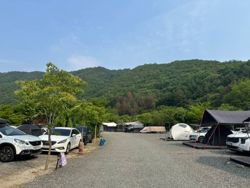 [양평/캠핑장] 서울 근교 계곡이 있는 풀무산 캠핑장