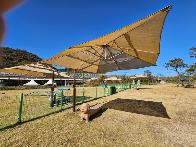 춘풍원 농촌체험 휴양마을 야영장 시설 사진 4