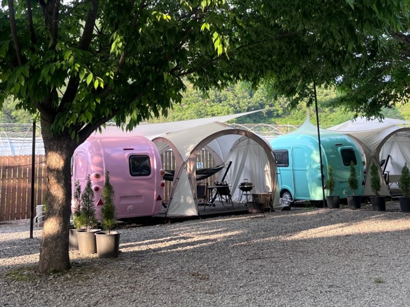 게으른 부부 즉흥캠핑, 가평 캠프241 후기