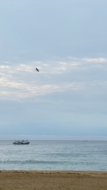 강원도 고성 최북단 7월 여행 명파 오토캠핑장 금강산건봉사