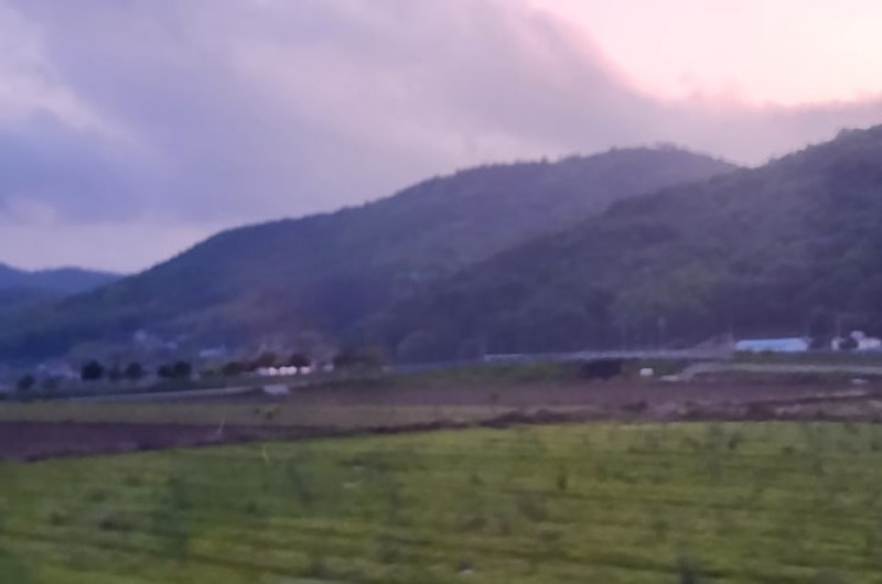 진도 카멜리아 힐즈 오토캠핑장