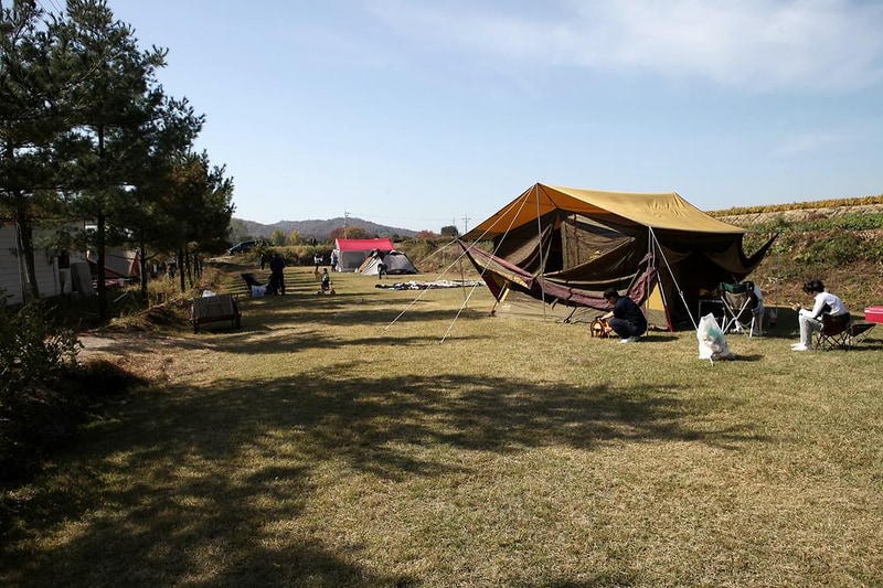 장남동산농원 시설 사진 6
