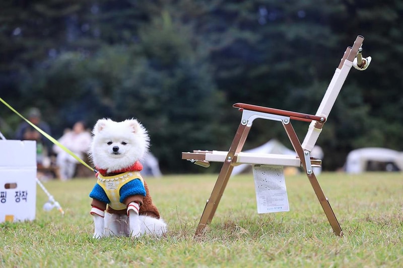 캠프 인디오 시설 사진 1