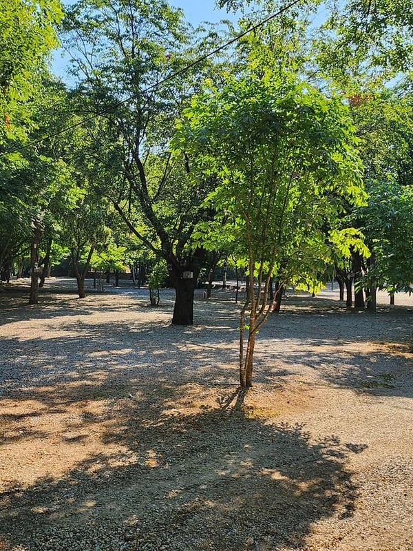 백담계곡오토캠핑장 대표 사진