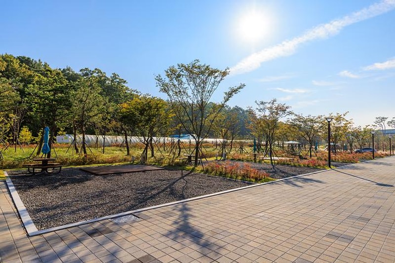 하기숲 가족캠핑장 대표 사진