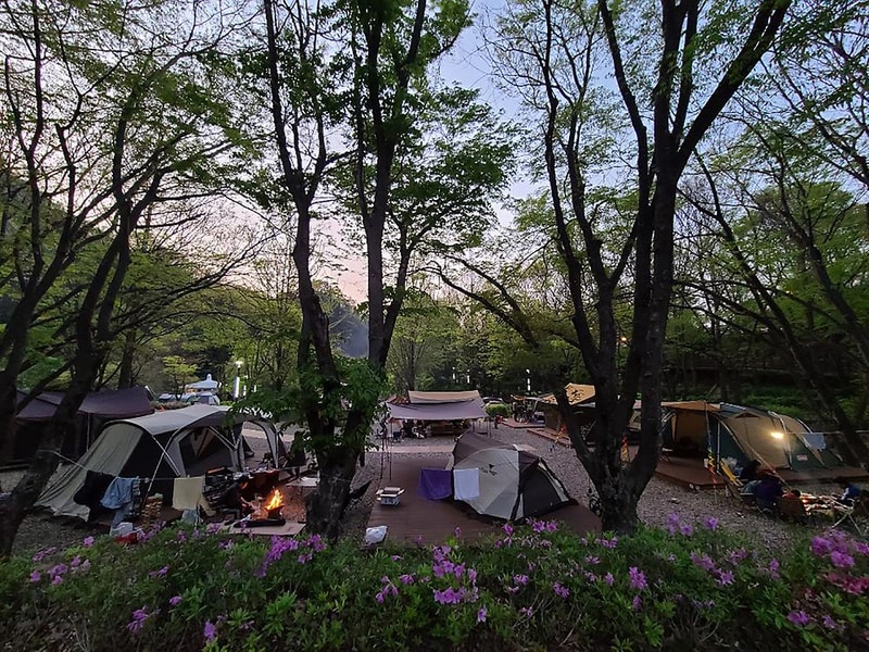 다리안관광지 시설 사진 2