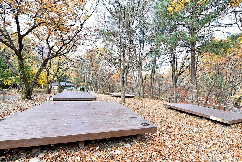 국립유명산자연휴양림(일반) 시설 사진 19