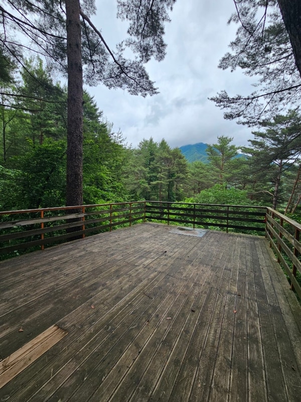 [캠핑] 역시나좋은 인제캠핑타운, 숲속 힐링 캠