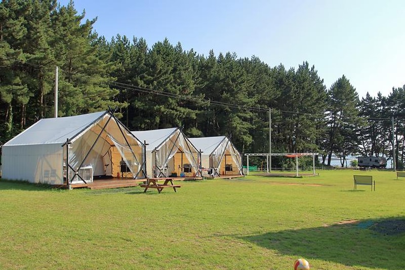 CLUB 596 대표 사진