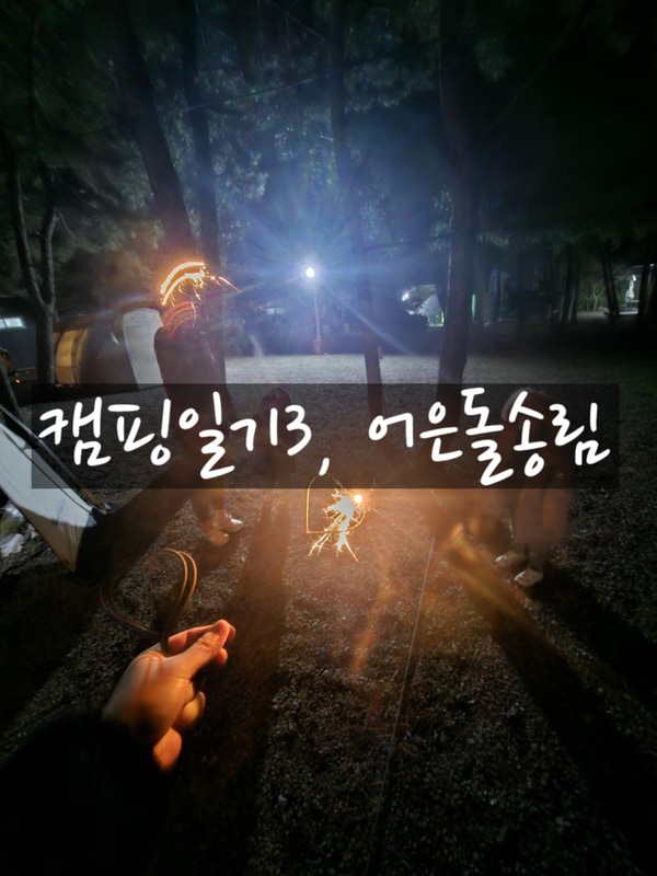 3번째 캠핑, 태안 어은돌 송림캠핑장