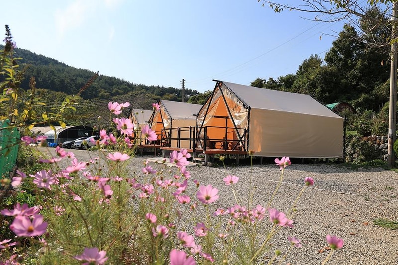 통영해뜰캠핑농원 시설 사진 10