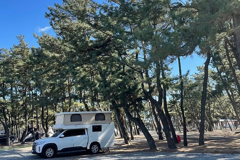 몽산포감성캠핑장 시설 사진 2