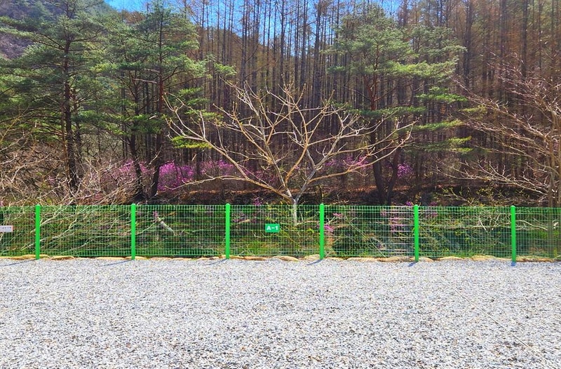 또바기캠핑장 시설 사진 33