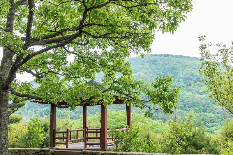 노꼬담꼬 시설 사진 1