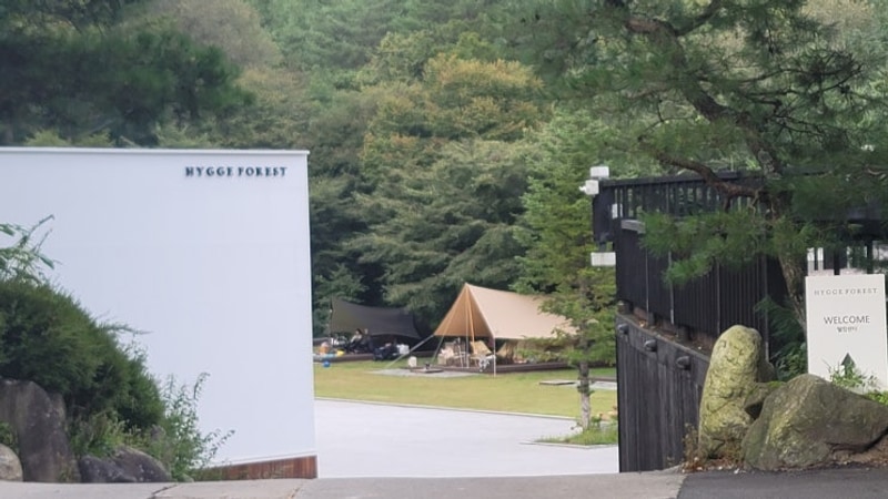 [캠핑]평창 휘게포레스트