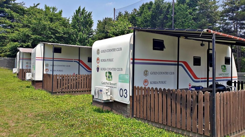 골드펫리조트 시설 사진 9