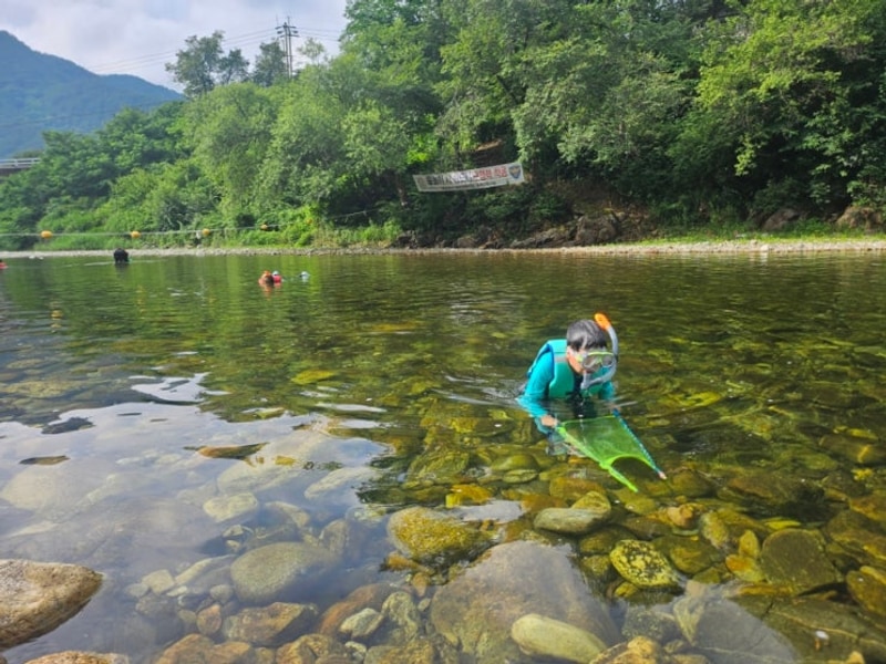 [홍천군]계곡 바로 앞에서 취사가능한 칡소폭포 캠핑장(평상...