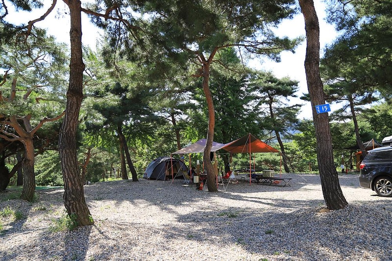 숲속의야영장 시설 사진 34