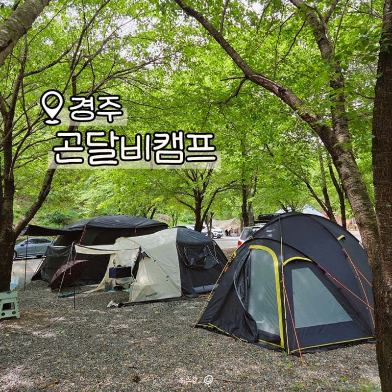 경주 산내 곤달비캠프 아이랑 갈만한 오토캠핑장