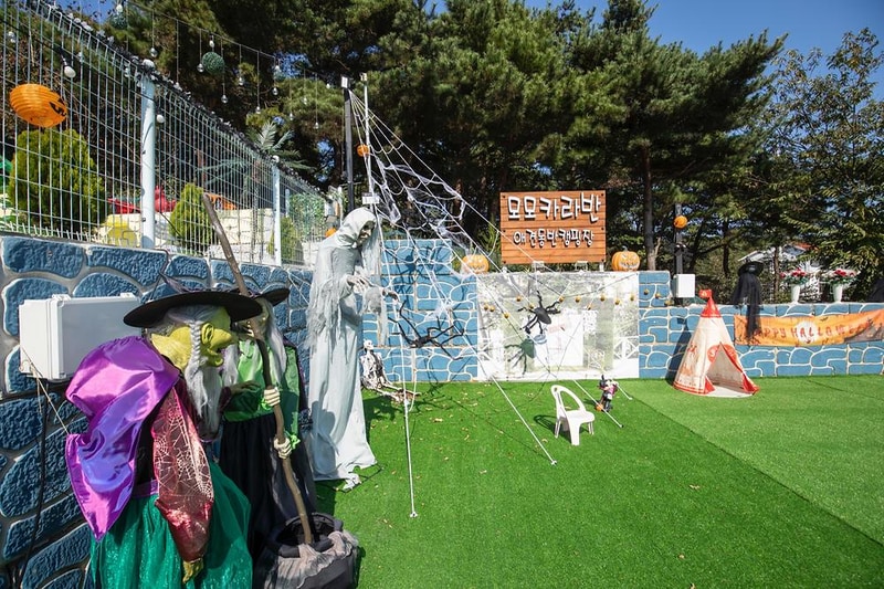 모모카라반 시설 사진 4