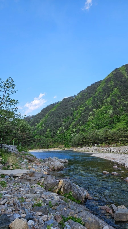 [양양] 해담 구룡령 야영장 (2025.05_사이트 A1)