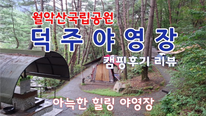 [월악산 덕주야영장 캠핑후기 리뷰] 아늑한 숲속 힐링야영장...