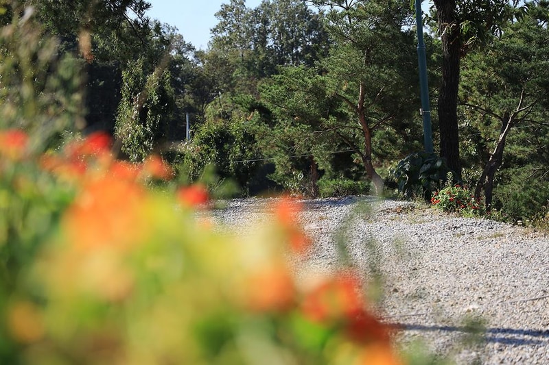 검디 관광농원 야영장 시설 사진 10