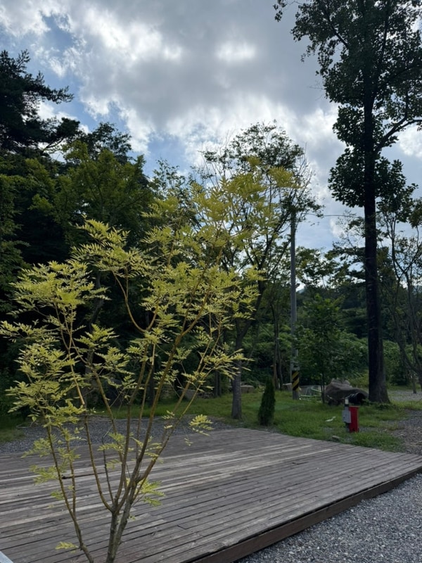 광주에서 가까운 담양 삼인산밸리캠핑장