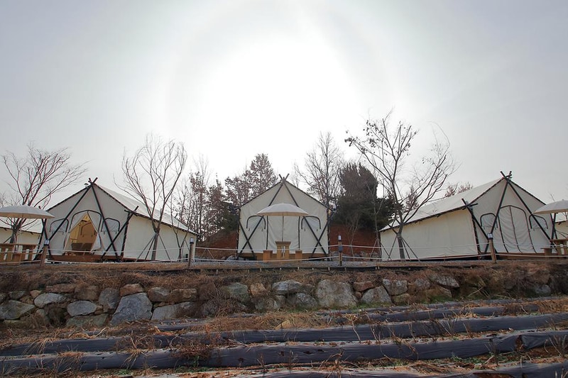 제천 모노레일 글램핑 시설 사진 10