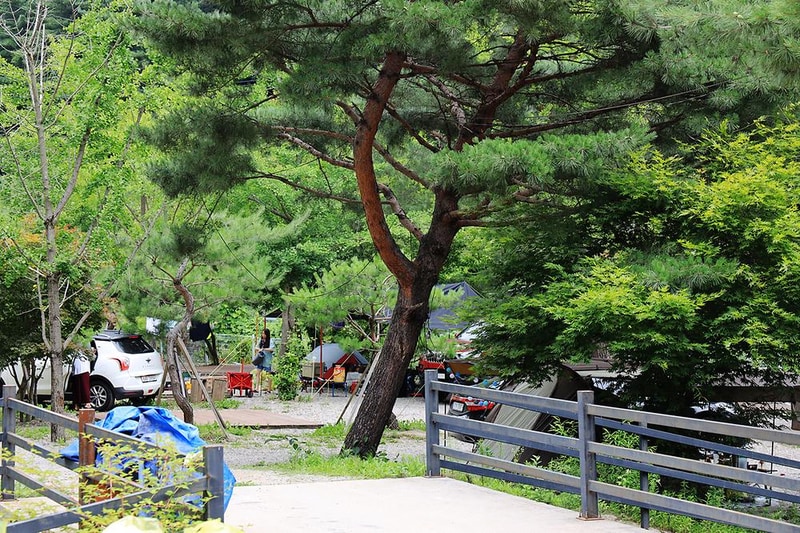 포시즌캠핑장 시설 사진 14