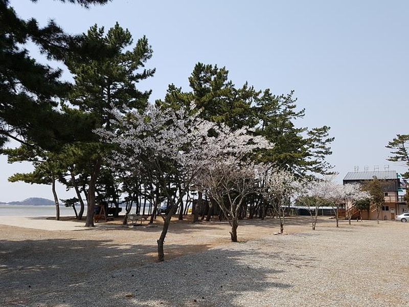 나라펜션캠핑장 대표 사진