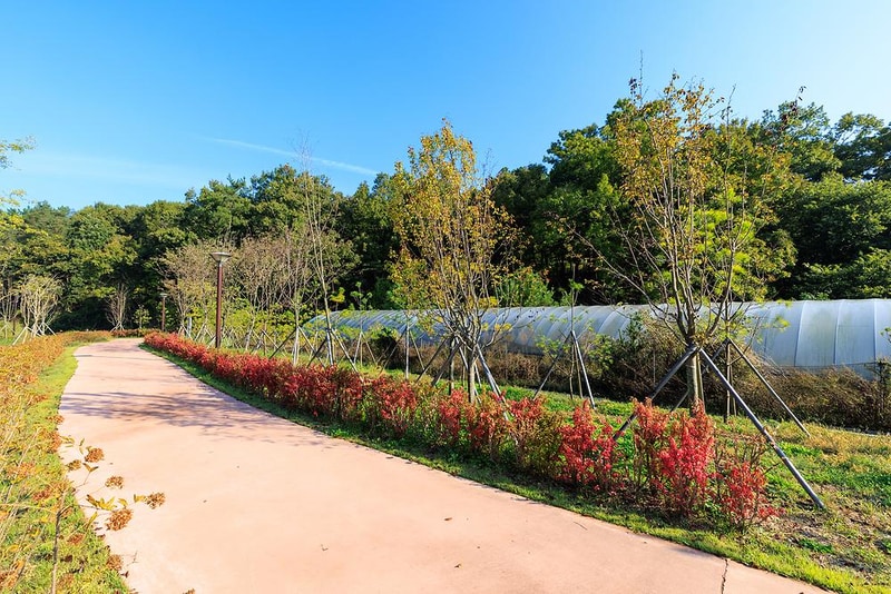 하기숲 가족캠핑장 시설 사진 14