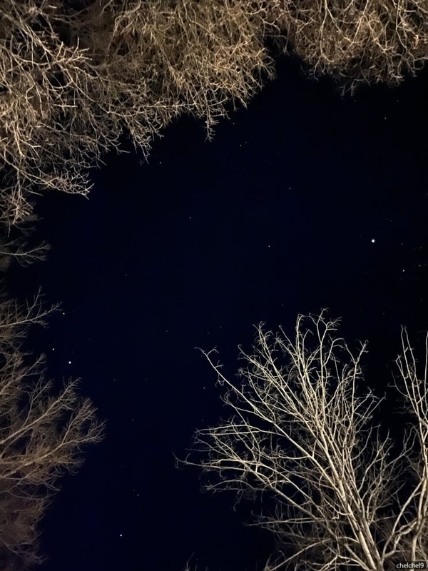 ️ 25년 01월 영월 당마루 캠핑장(당마루 관광농원 캠핑장)