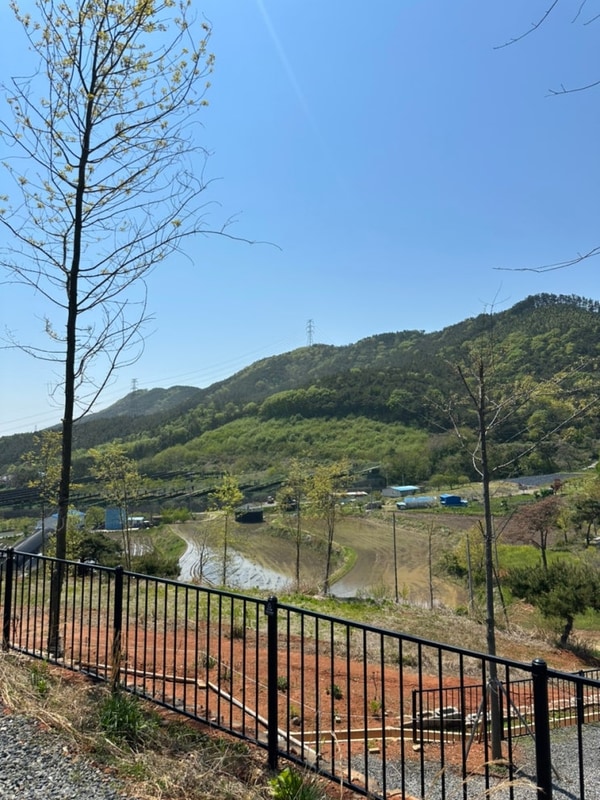 대천힐링 캠핑장 : 대천 캠핑장, 보령 캠핑장 / 스카이10, 11번...