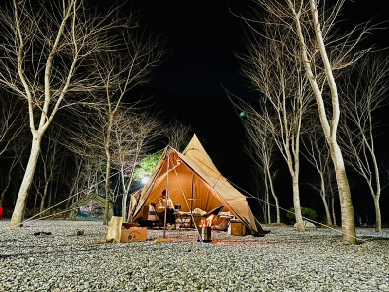 정선여행 아리랑시장 회동집 가네골농원 캠핑장 2025.03.12~13