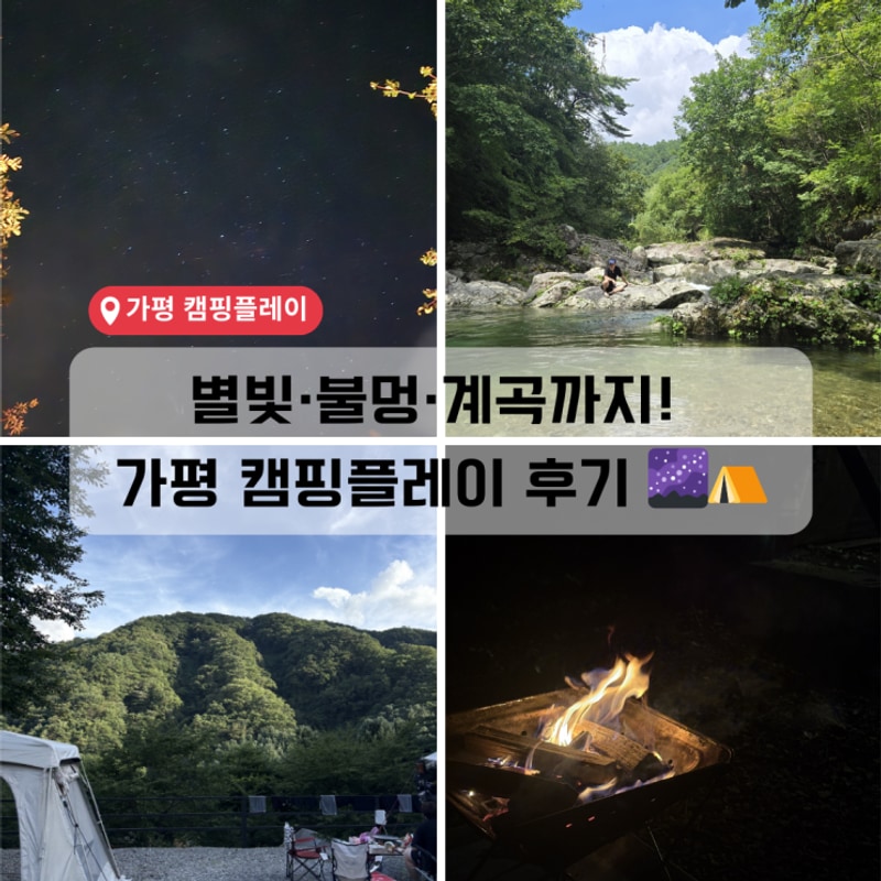 가평 캠핑플레이 캠핑장 후기｜계곡 있는 반려견 동반 캠핑