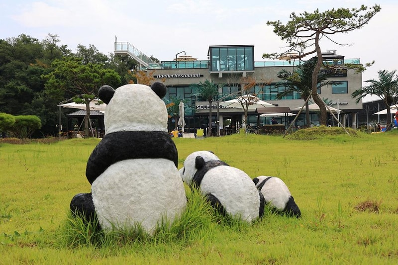 선재해림 카라반 시설 사진 12
