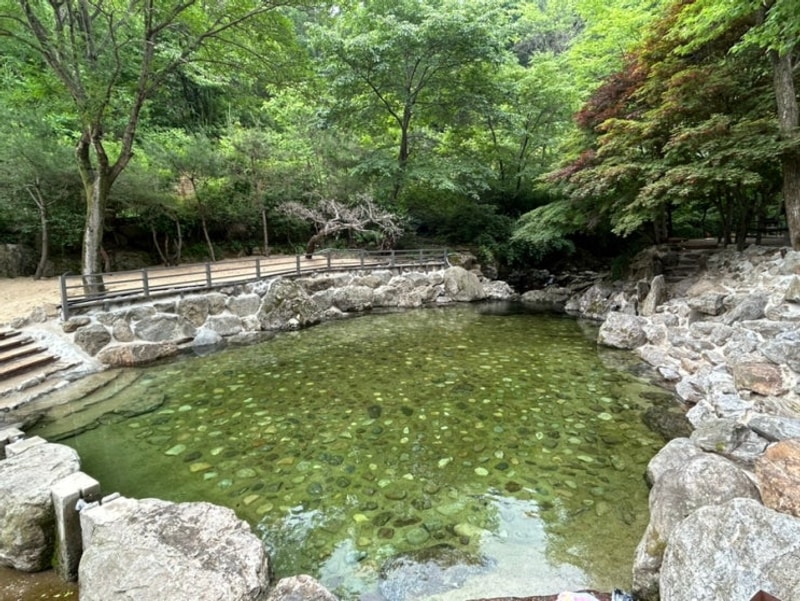[캠핑장 리뷰] 남양주 계곡 캠핑장 추천 포레스트 벨리 캠프...