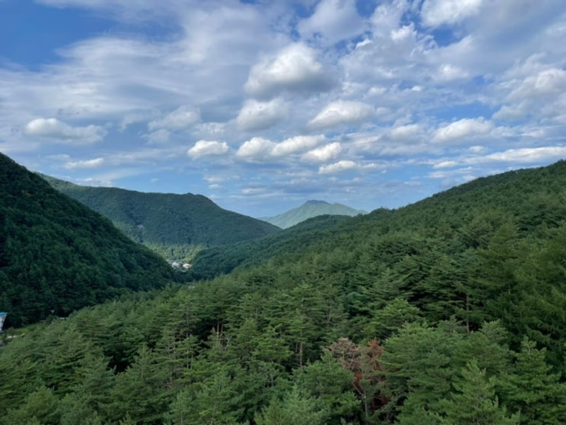 태백산국립공원 소도야영장 카라반 이용후기