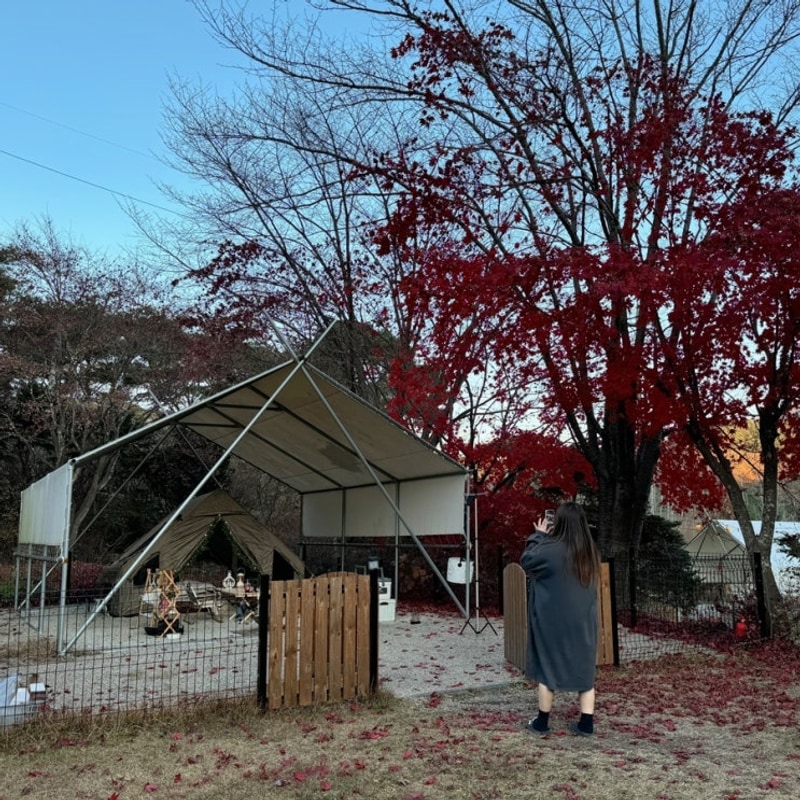 합니동 〰️ 양구 ” 민트초코캠핑장 “ 양구캠핑장추천...