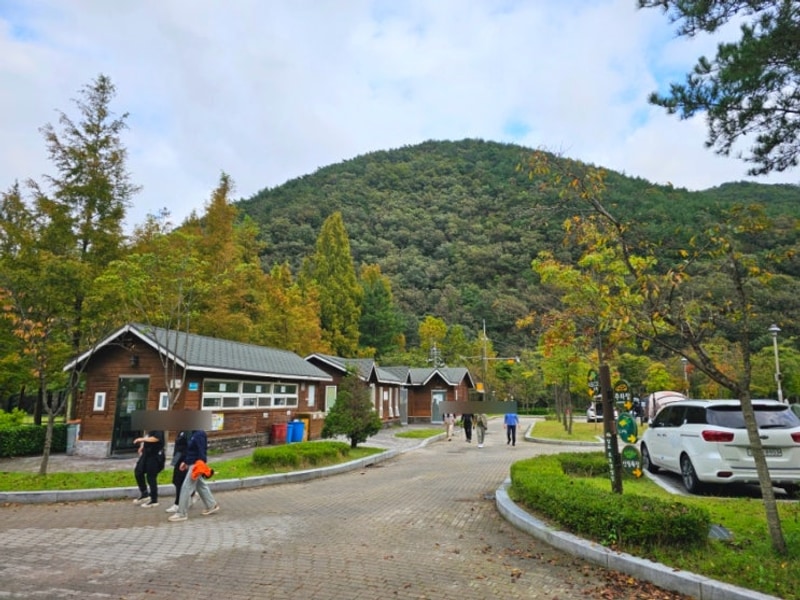 대전 동구 상소오토캠핑장 솔직후기 (부대시설, 애견동반...